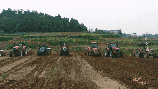 1702520478462857.gif 9a13c4da1686446981e774c48396541410.gif