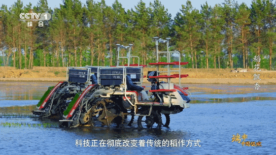 1702520630480496.gif ce5a8464a5f6450c98259d306a3c726210.gif